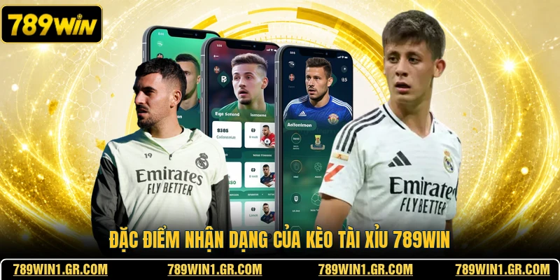 Đặc điểm nhận dạng của kèo tài xỉu 789WIN